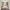 45 Broomhall Crescent, Edinburgh, EH12 7PG - Image 6