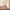 26 Oakland Square, Edinburgh, EH11 3AH - Image 4