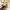 5 Marionville Grove, Edinburgh, EH7 6BJ - Image 5