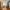 5 Marionville Grove, Edinburgh, EH7 6BJ - Image 3
