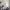 205 Pilton Avenue, Edinburgh, EH5 2HW - Image 4