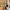 56 Stevenson Drive, Edinburgh. EH11 3DN - Image 4