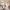 56 Stevenson Drive, Edinburgh. EH11 3DN - Image 2