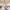 56 Stevenson Drive, Edinburgh. EH11 3DN - Image 3