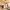 48 West Savile Terrace, Edinburgh, EH9 3EH - Image 3