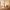 48 West Savile Terrace, Edinburgh, EH9 3EH - Image 2