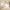 19 Findlay Avenue, Edinburgh, EH7 6HB - Image 2