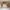45 Durham Avenue, Edinburgh, EH15 1RR - Image 4