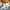 45 Durham Avenue, Edinburgh, EH15 1RR - Image 5