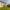 55 Stenhouse Avenue, Edinburgh, EH11 3DE - Image 6