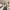 8 Howden Hall Gardens, Edinburgh, EH16 6UN - Image 5