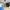12 2F4 Wardlaw Place, Edinburgh, EH11 1UE - Image 2