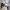 12 2F4 Wardlaw Place, Edinburgh, EH11 1UE - Image 4