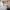 12 2F4 Wardlaw Place, Edinburgh, EH11 1UE - Image 7