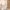 16/5, Geissler Drive, Edinburgh, EH6 6AP - Image 7