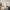16/5, Geissler Drive, Edinburgh, EH6 6AP - Image 2