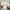 49 Juniper Avenue, Edinburgh, EH14 5EE - Image 4
