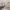 49 Juniper Avenue, Edinburgh, EH14 5EE - Image 6