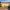 1/6 Essendean Place