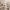 70 Corby Craig Avenue, Bilston, EH25 9TL - Image 6