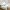12 Almondbank Terrace, Edinburgh, EH11 1SR - Image 5