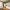12 Almondbank Terrace, Edinburgh, EH11 1SR - Image 4
