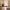 12 Almondbank Terrace, Edinburgh, EH11 1SR - Image 2