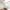 12 Almondbank Terrace, Edinburgh, EH11 1SR - Image 6