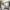 11 Duntreath Place, Edinburgh, EH16 4ZA - Image 4