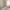 16 2F1 Wheatfield Place, Edinburgh, EH11 2PF - Image 4