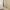 16 2F1 Wheatfield Place, Edinburgh, EH11 2PF - Image 7