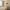16 2F1 Wheatfield Place, Edinburgh, EH11 2PF - Image 6