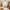 10 1F2 Tay Street, Edinburgh, EH11 1EA - Image 4