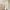 3 Hepburn Crescent, Edinburgh, EH17 8XY - Image 7