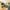 253 South Gyle Road, Edinburgh, EH12 9EJ - Image 3