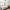 15 Blackford House, 9 Charterhall Grove, Edinburgh, EH9 3HX - Image 5