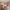 14/2 Powderhall Road, Edinburgh, EH7 4GB - Image 6