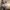 69E Polton Street, Bonnyrigg, EH19 3DQ - Image 6