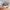 220 Guardwell Crescent, Edinburgh, EH17 7SJ - Image 5