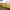 220 Guardwell Crescent, Edinburgh, EH17 7SJ - Image 6