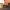220 Guardwell Crescent, Edinburgh, EH17 7SJ - Image 7