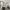 28 Whitson Walk, Edinburgh, EH11 3BY - Image 5