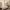 125 Tweedsmuir Drive, Edinburgh, EH16 4XU - Image 7