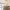 125 Tweedsmuir Drive, Edinburgh, EH16 4XU - Image 4
