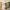 125 Tweedsmuir Drive, Edinburgh, EH16 4XU - Image 6