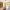 125 Tweedsmuir Drive, Edinburgh, EH16 4XU - Image 5
