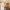 48 East Craigs Wynd, Edinburgh, EH12 8HJ - Image 4