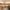 48 East Craigs Wynd, Edinburgh, EH12 8HJ - Image 3
