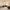 48 East Craigs Wynd, Edinburgh, EH12 8HJ - Image 2