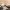 48 East Craigs Wynd, Edinburgh, EH12 8HJ - Image 7